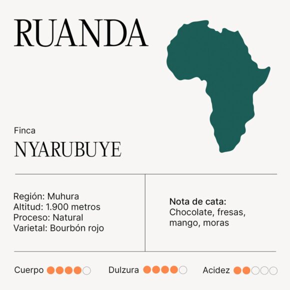 Café RUANDA Finca Nyarubuye