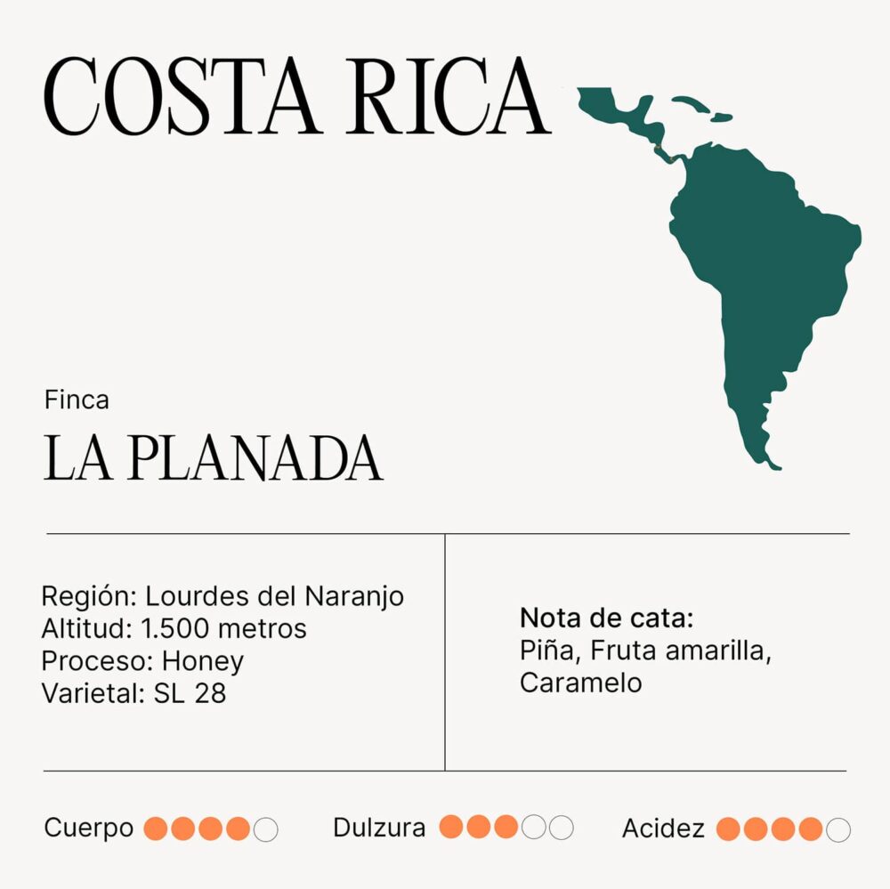 Café COSTA RICA Finca La Planada