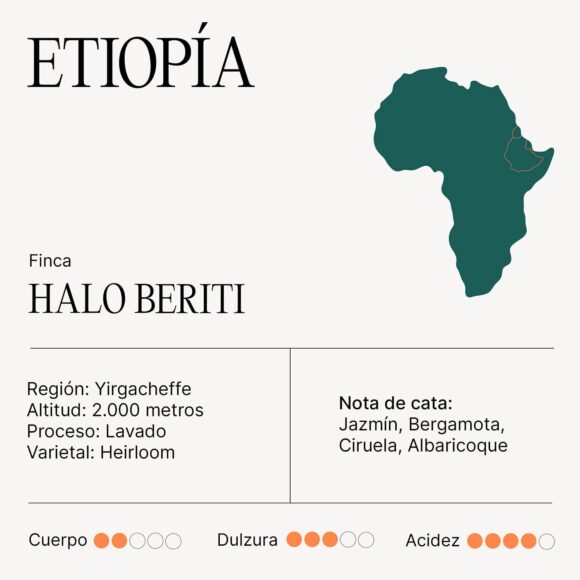 Café ETIOPÍA Finca Halo Beriti