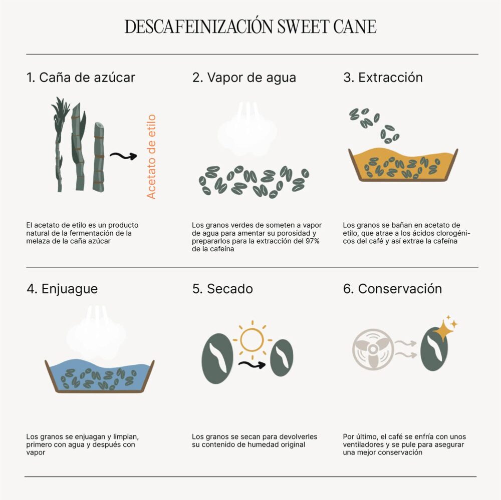 Proceso descafeinización sweet cane