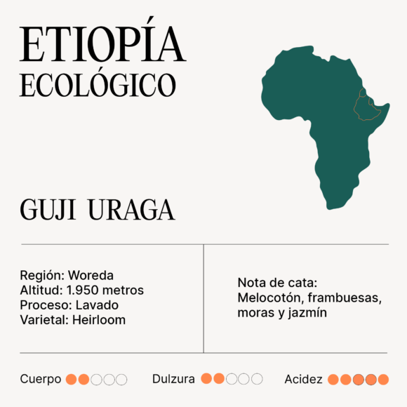 ETIOPÍA Guji Uraga Ecológico