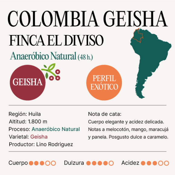COLOMBIA GEISHA FINCA EL DIVISO CATA