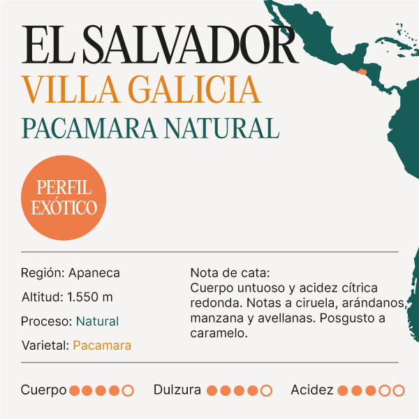 Cata El Salvador Villa Galicia Pacamara Natural