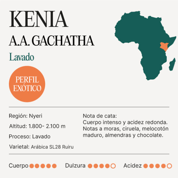 Cafe Kenia AA GACHATHA NOTAS DE CATA