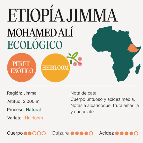 CAFE CARACTERISTICAS ETIOPIA JIMMA MOHAMED ALI ECOLOGICO